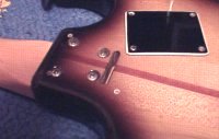 Neck Truss Rod Detail